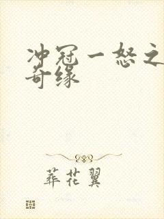 冲冠一怒之合租奇缘