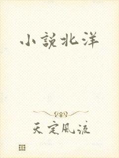 小说北洋