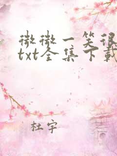 微微一笑很倾城txt全集下载