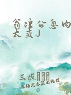 翁浪公息肉吊大太爽J