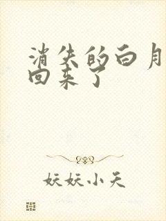 消失的白月光又回来了