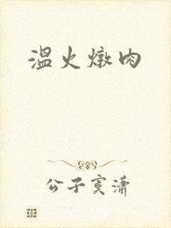 温火炖肉