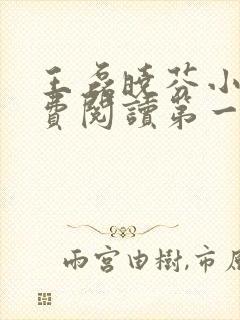 王磊晓芬小说免费阅读第一章