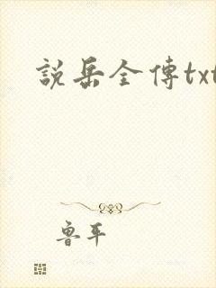 说岳全传txt