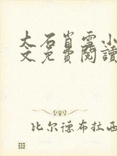 大石肖雪小说全文免费阅读