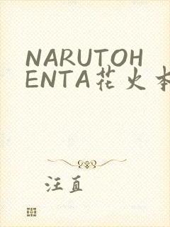 NARUTOHENTA花火本子