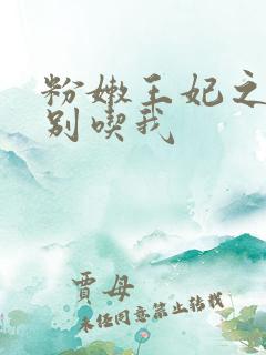 粉嫩王妃之殿下别吃我