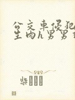 公交车侵犯小男生肉h男男视频