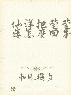 仙洋把莹莹干肛瘘怎么回事