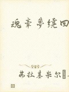 魂牵梦绕回大清