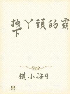 拽丫头的霸道殿下