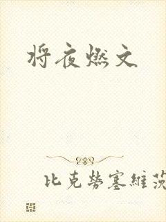 将夜燃文