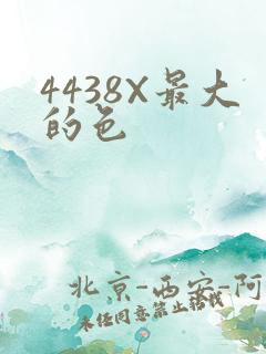 4438X最大的色