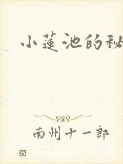 小莲池的秘密