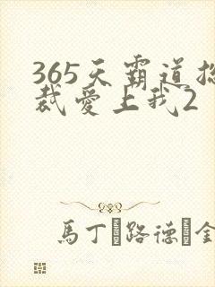 365天霸道总裁爱上我2
