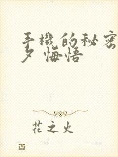 手机的秘密 七夕 悔悟