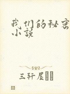 我们的秘密泰剧小说