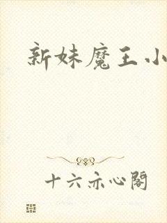 新妹魔王小说
