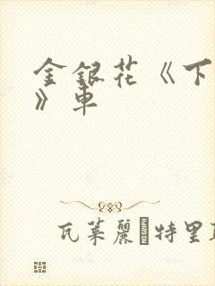 金银花《下厨房》车