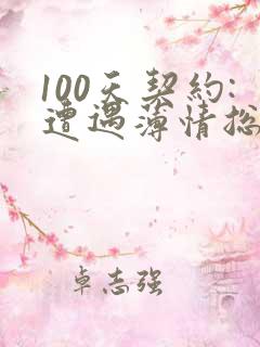100天契约:遭遇薄情总裁