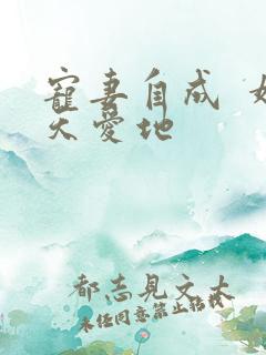 宠妻自成  婚天爱地