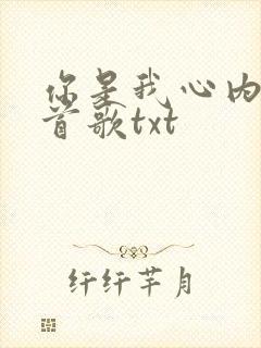 你是我心内的一首歌txt
