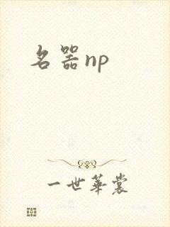 名器np