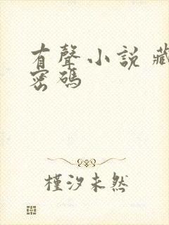 有声小说 藏地密码