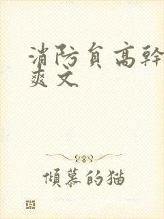 消防员高干h荤爽文