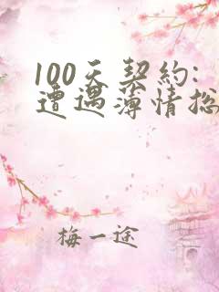 100天契约:遭遇薄情总裁