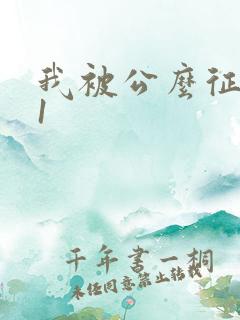 我被公么征服了1