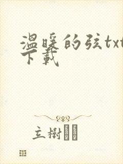 温暖的弦txt下载