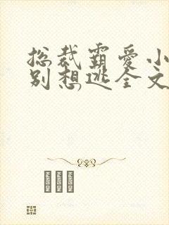 总裁霸爱小娇妻别想逃全文阅读免费