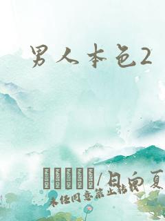 男人本色2