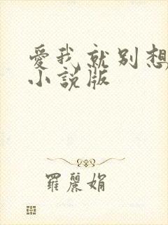 爱我就别想太多小说版