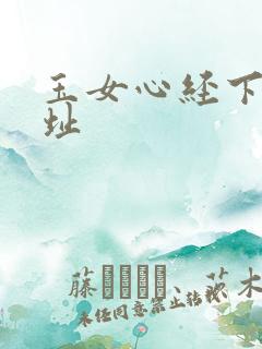 玉女心经下载地址