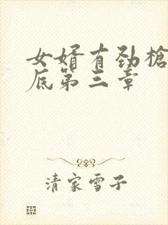 女婿有劲枪枪到底第三章