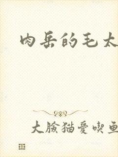 肉岳的毛太浓了