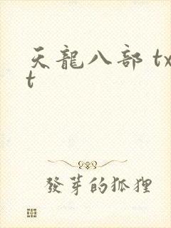 天龙八部 txt
