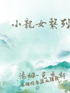 小龙女系列小说