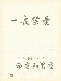 一夜禁爱