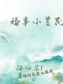 婚事小农民