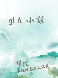 gl h 小说