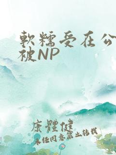 软糯受在公交车被NP