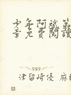 少年阿斌第13章免费阅读