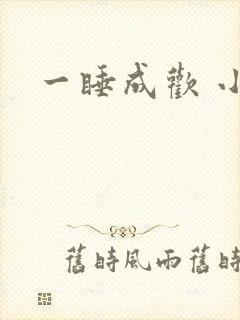 一睡成欢 小说