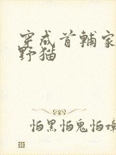 穿成首辅家的小野猫