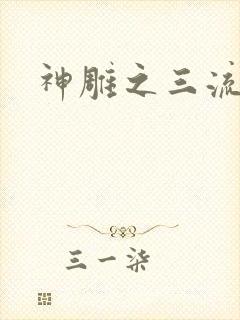 神雕之三流