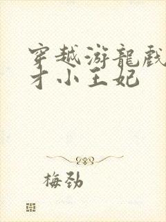 穿越游龙戏凤天才小王妃