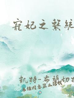 宠妃之系统尤物